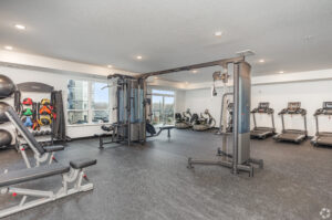 A modern gym with weight benches, exercise balls, and a variety of cardio machines including treadmills and bikes. Large windows let in natural light, and there's a multi-functional cable machine in the center.